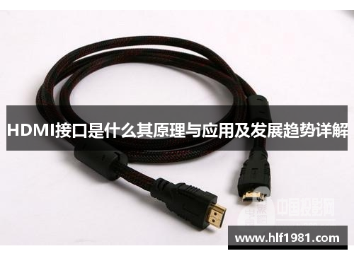 HDMI接口是什么其原理与应用及发展趋势详解
